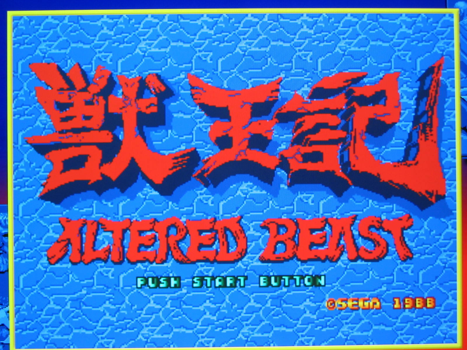 大特価放出！ SEGA 獣王記 Altered Beast 海外GBA/ニンテンドーDS セガ 